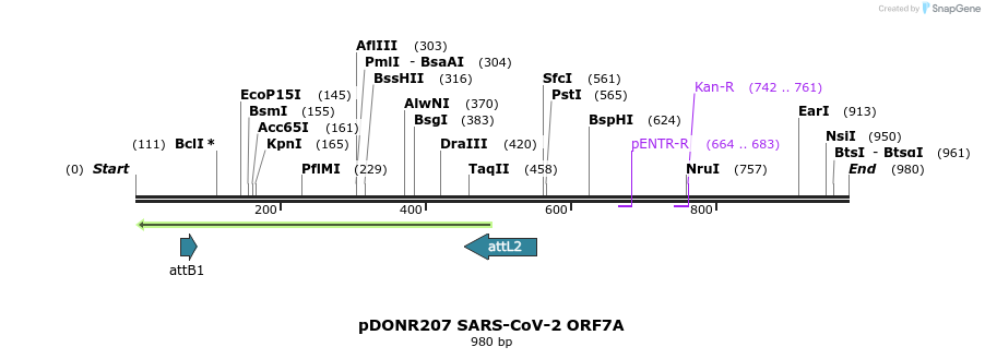 276453_map