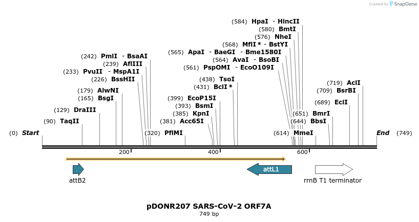 276454_map