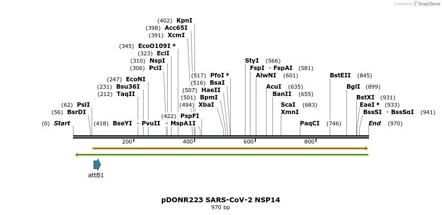 276459_map