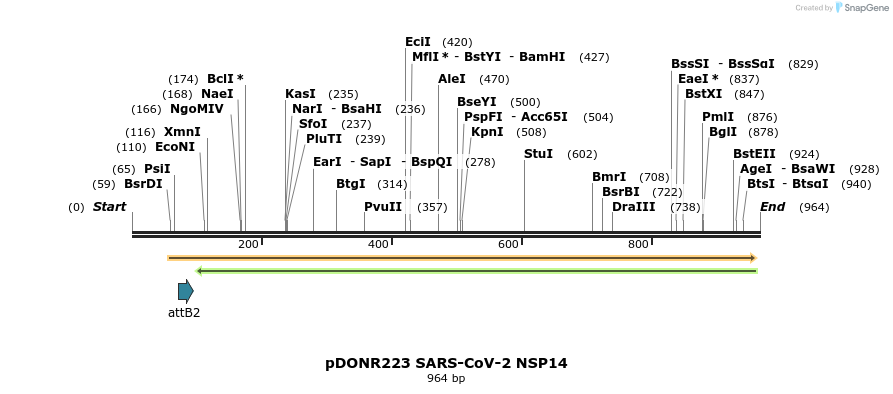 276460_map