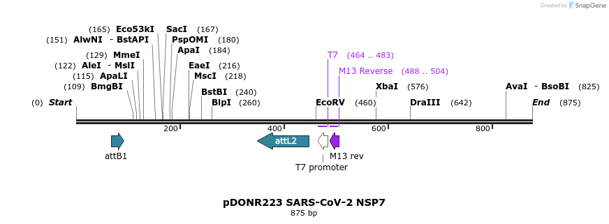 276461_map