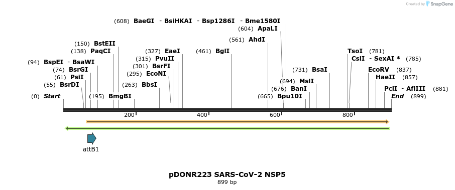 276463_map