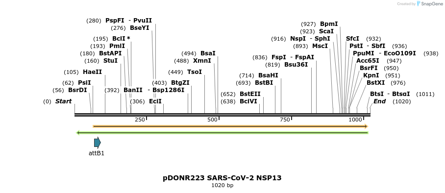 276465_map