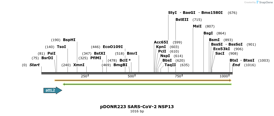 276466_map