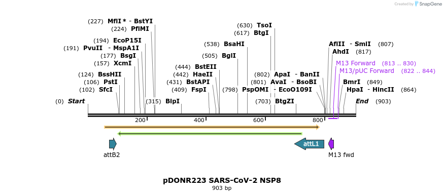 276467_map
