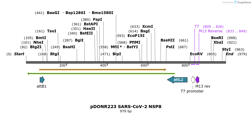 276468_map