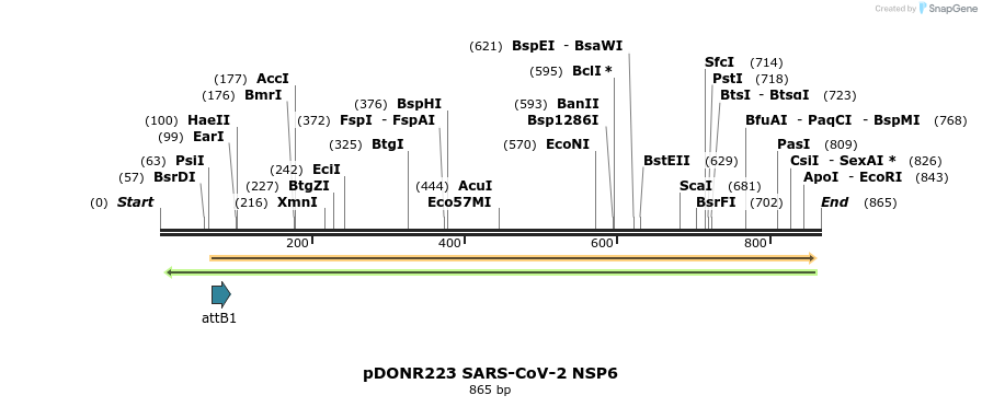 276469_map