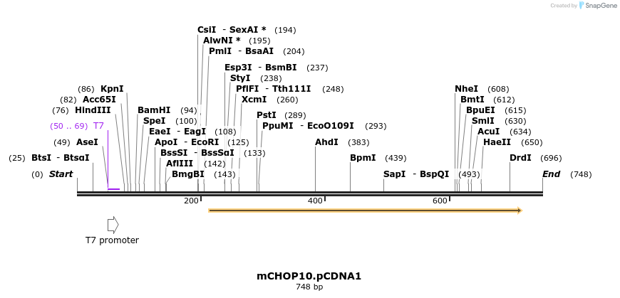 27647_map