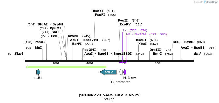 276474_map
