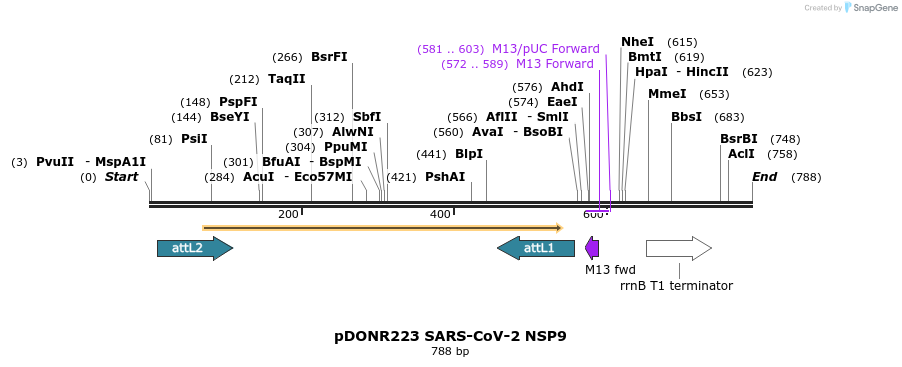 276475_map