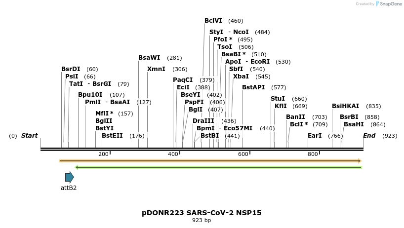 276477_map