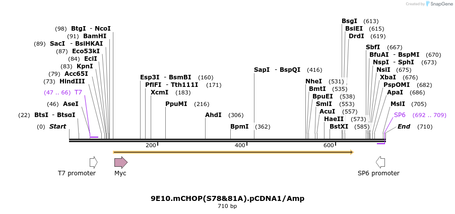 27649_map