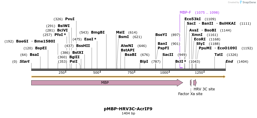 276498_map