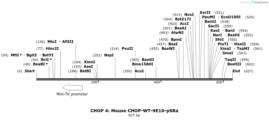 27651_map
