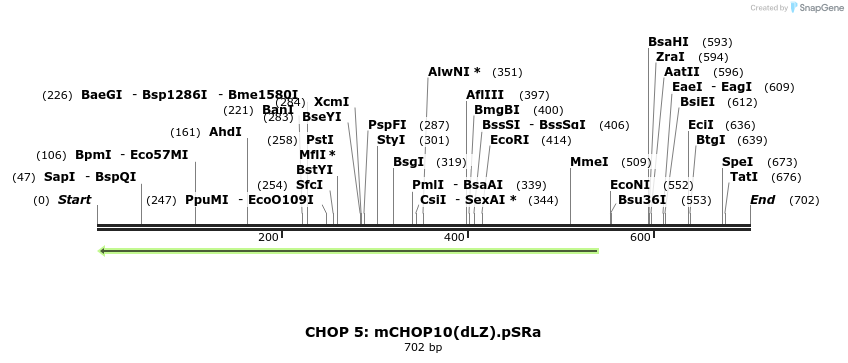 27652_map