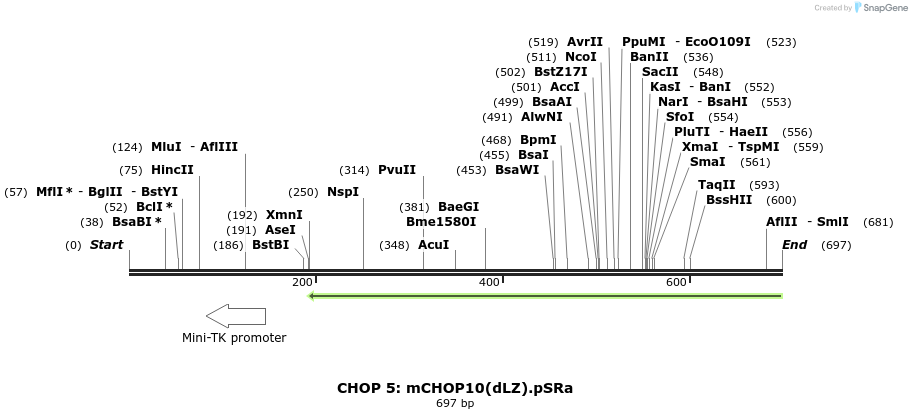 27653_map