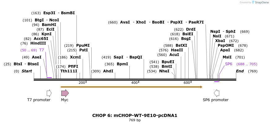 27654_map