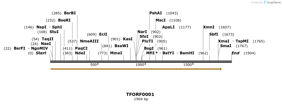 276544_map