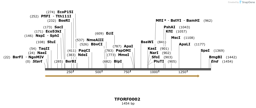 276547_map