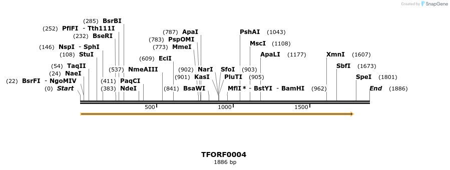 276550_map