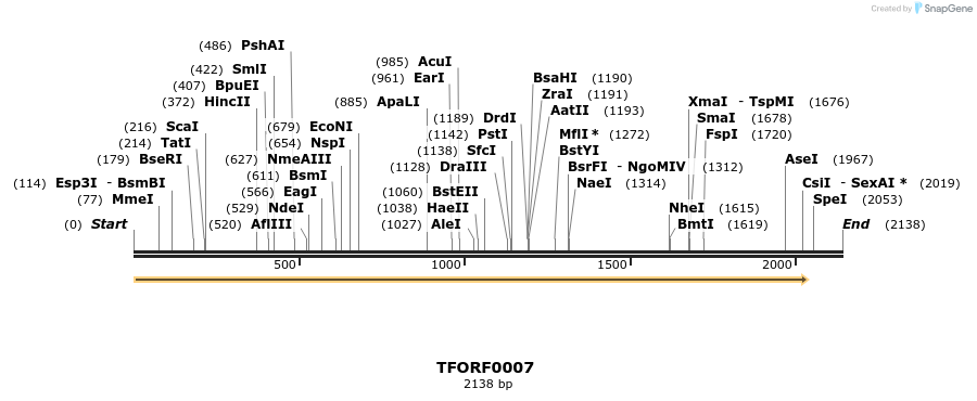 276553_map