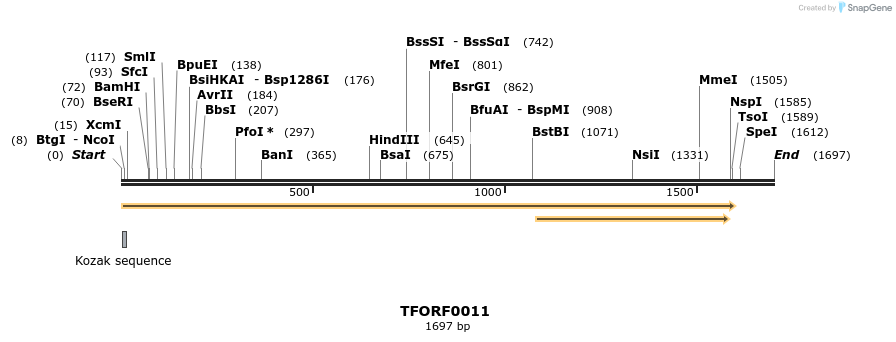 276556_map