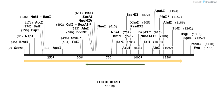 276574_map