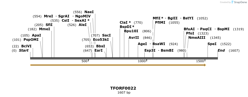 276580_map