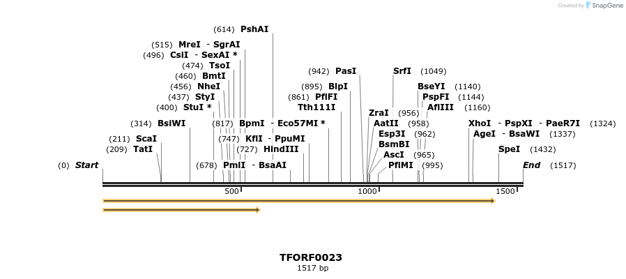 276583_map
