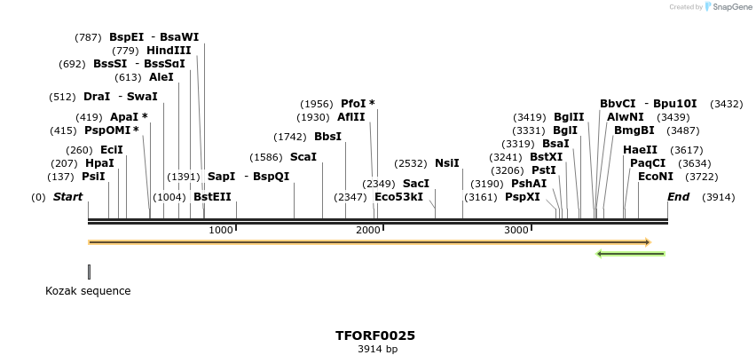 276586_map