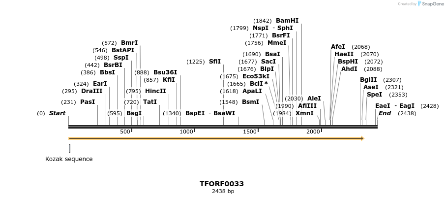 276592_map