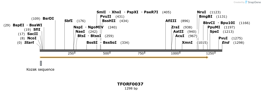276601_map