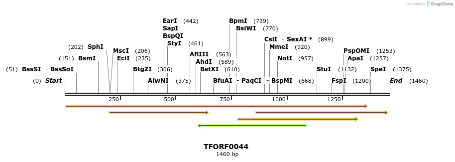 276604_map