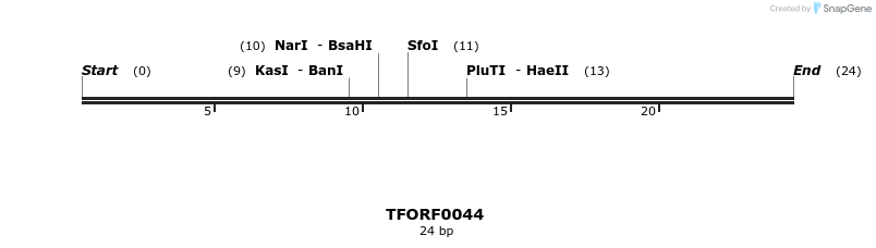276605_map