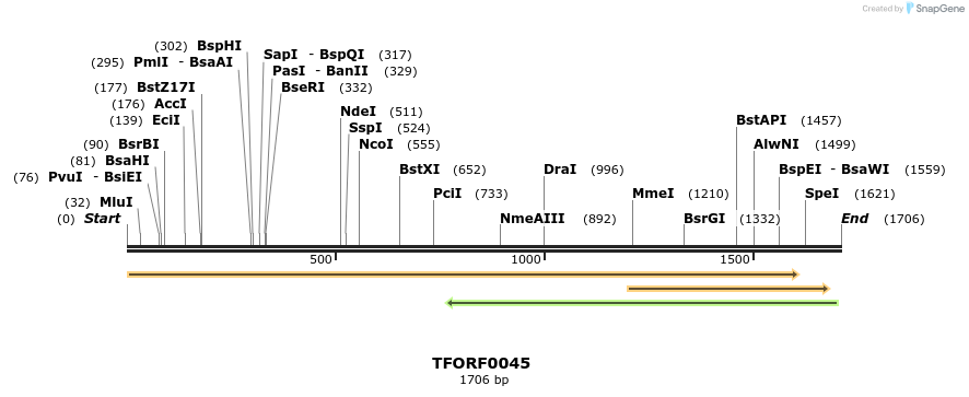 276607_map