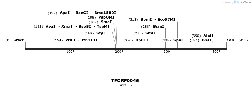 276610_map