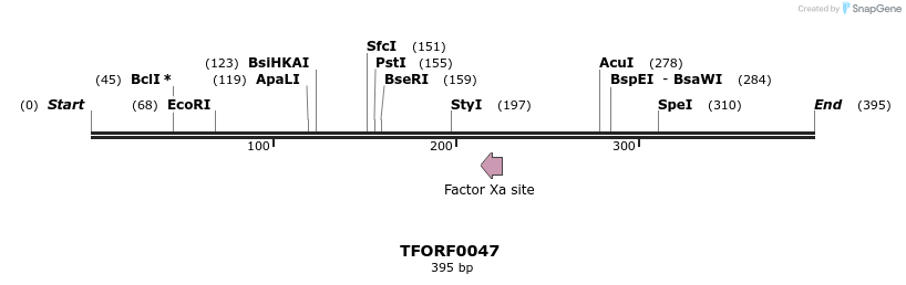 276613_map