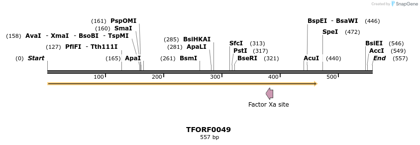 276619_map