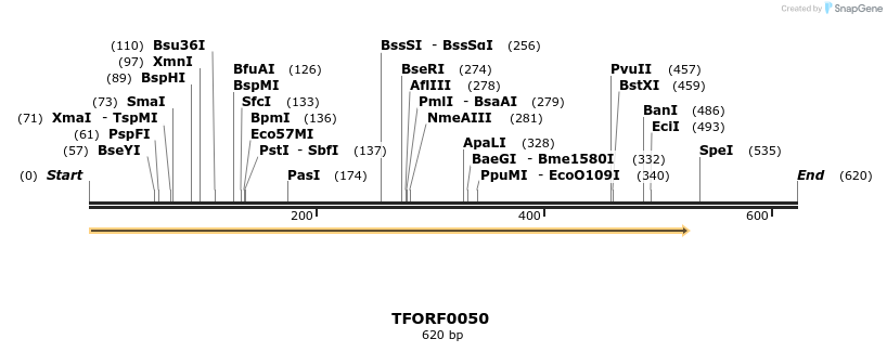 276622_map