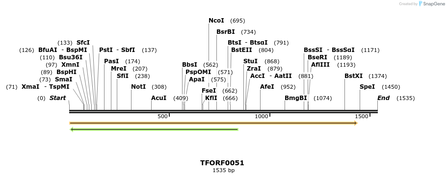 276625_map