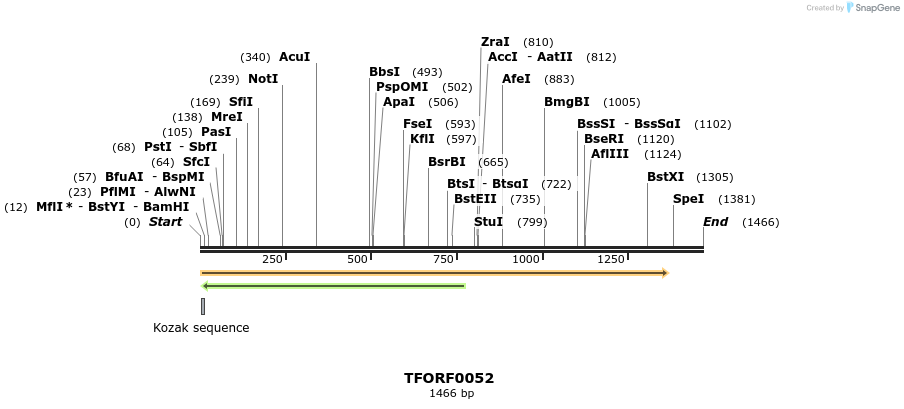 276628_map