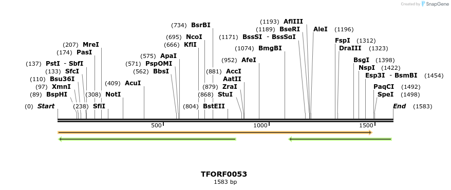 276631_map
