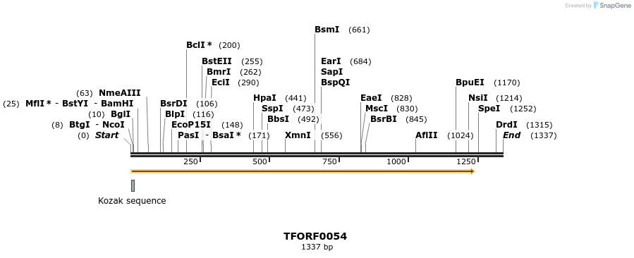 276634_map
