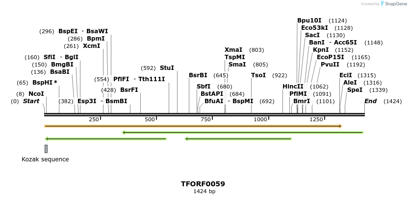 276637_map