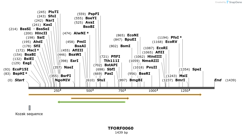 276640_map