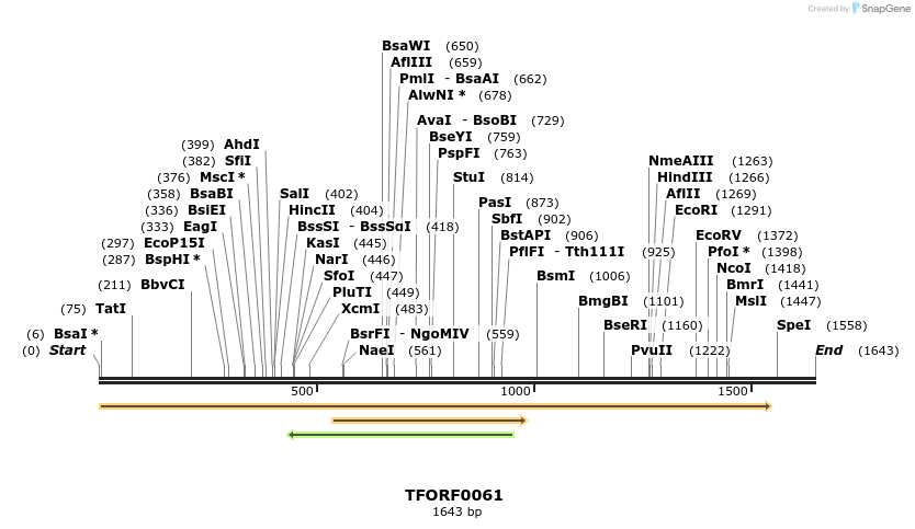 276643_map