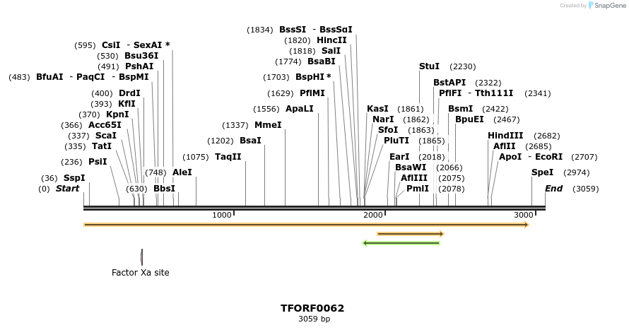 276646_map
