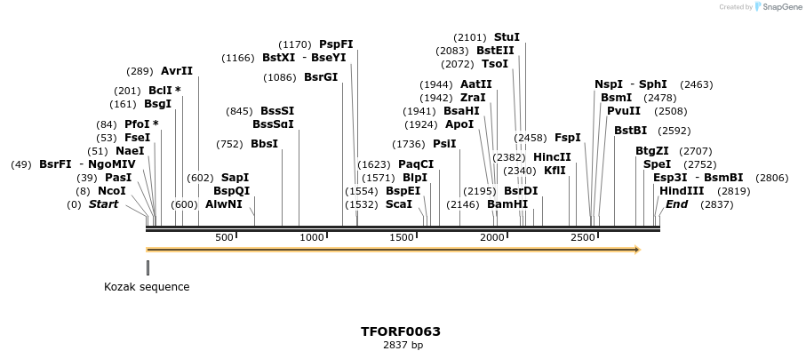 276649_map