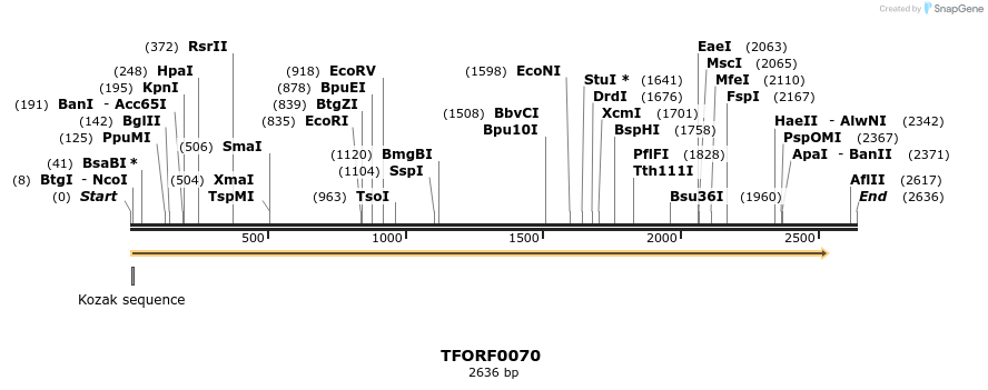 276652_map