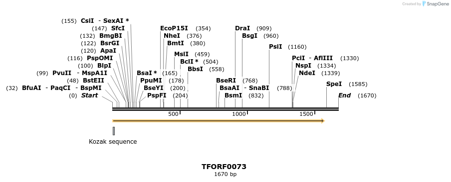 276655_map
